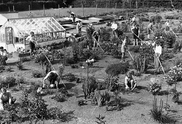 schooltuin 1951